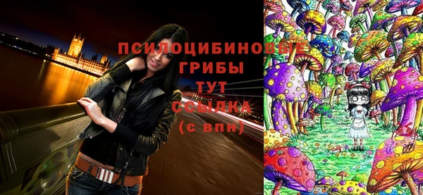 трава Гусиноозёрск