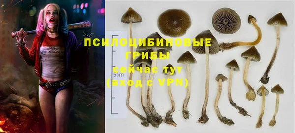 мдма Гусев