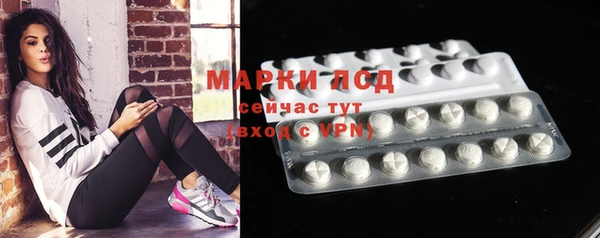 стаф Гусь-Хрустальный