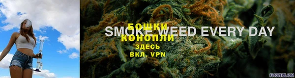 стаф Гусь-Хрустальный