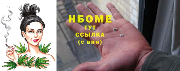 трава Гусиноозёрск