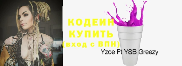 стаф Гусь-Хрустальный