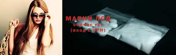 трава Гусиноозёрск