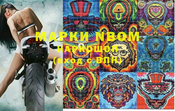 трава Гусиноозёрск