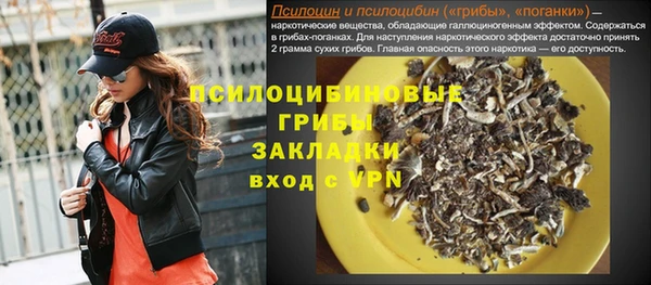 стаф Гусь-Хрустальный