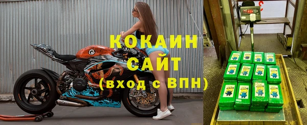 трава Гусиноозёрск