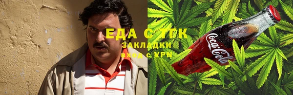 трава Гусиноозёрск