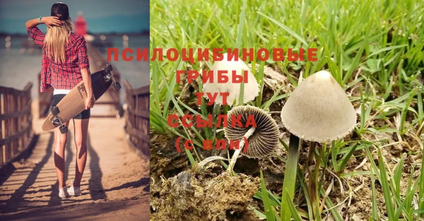 стаф Гусь-Хрустальный