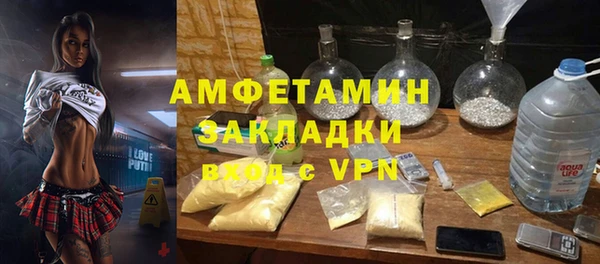 трава Гусиноозёрск