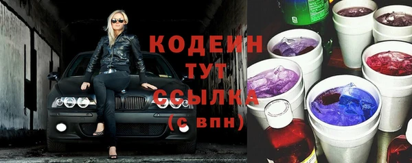 стаф Гусь-Хрустальный
