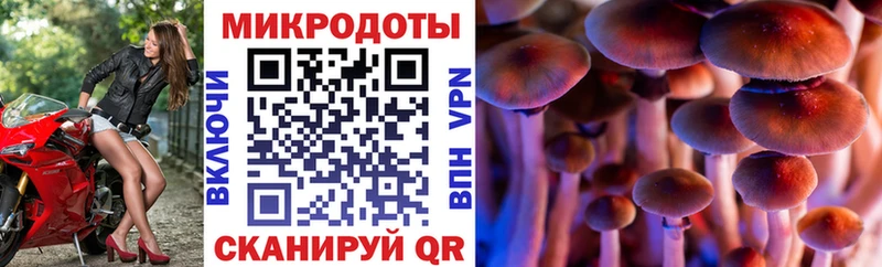 Псилоцибиновые грибы Psilocybine cubensis  Купить  Поворино 